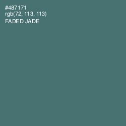 #487171 - Faded Jade Color Image